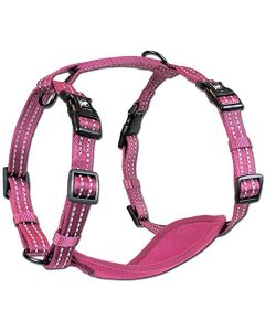 ALCOTT ARNES ADVENTURE ROSA L