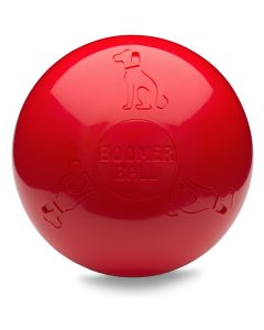 Boomer Ball 10' (25 cm Ø)