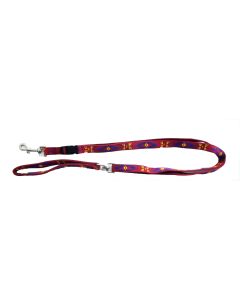 Correa Ext. Azteca 25mm200cm gris