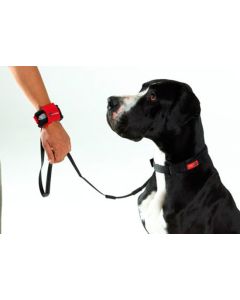Correa para perros Hands Free Negra