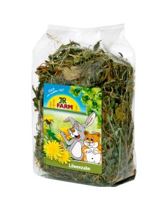 JR FARM HERBS DIENTE DE LEON 100 GR