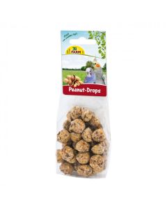 JR BIRDS DROPS DE CACAHUETE 100 GR