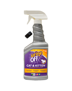 Urine off Gatos y Gatitos