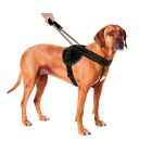 Arnés de nylon para perros Jockey long leash Negro XXL