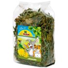 JR FARM HERBS DIENTE DE LEON 100 GR
